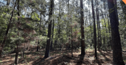 0.65 Acres – Bedford Pl, McCormick, SC, 29835 – McCormick County