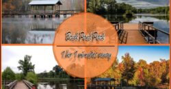 Savannah Lakes Village: Your Gateway to Luxury Living on a 0.36 Acre Lot!
