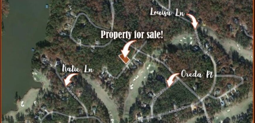Savannah Lakes Village: Your Gateway to Luxury Living on a 0.36 Acre Lot!