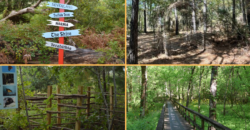 0.57 Acres – Henderson Ave, Pass Christian, MS 39571 – Harrison County