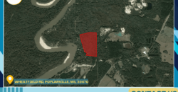 30 Acres – Wheatfield Rd, Poplarville, MS, 39470 – Pearl River County