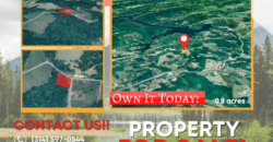 0.8 Acres – Topaz Ln, New Tazewell, TN, 37825- Claiborne County