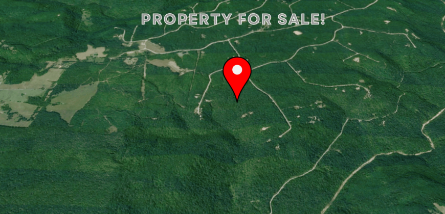 10 Acres – Lot 299,  Hilltop Ln, Wilder, TN, 38589 – Fentress County