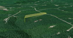 10 Acres – Lot 299,  Hilltop Ln, Wilder, TN, 38589 – Fentress County