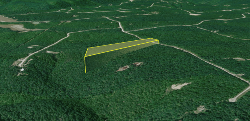10 Acres – Lot 299,  Hilltop Ln, Wilder, TN, 38589 – Fentress County