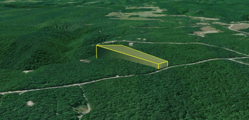 10 Acres – Lot 299,  Hilltop Ln, Wilder, TN, 38589 – Fentress County
