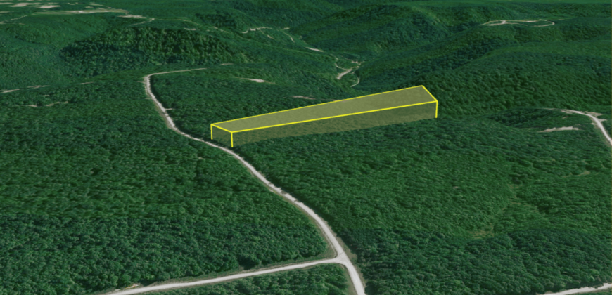 10 Acres – Lot 299,  Hilltop Ln, Wilder, TN, 38589 – Fentress County