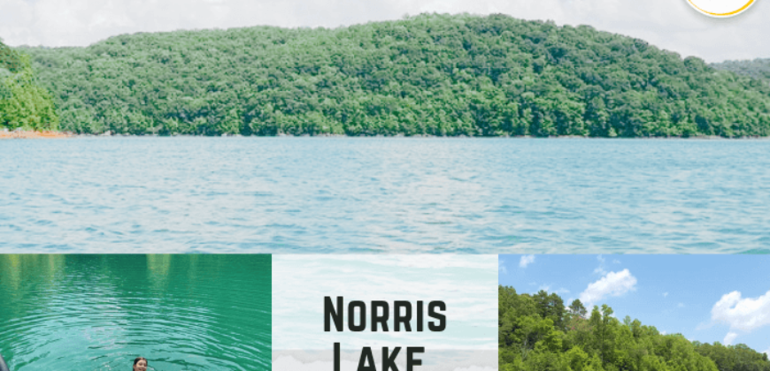 0.54 Acres – Longshore Dr, New Tazewell, TN, 33076 – Claiborne County