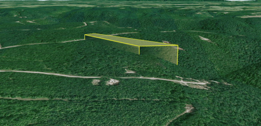 10 Acres – Lot 299,  Hilltop Ln, Wilder, TN, 38589 – Fentress County