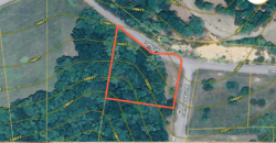 0.8 Acres – Topaz Ln, New Tazewell, TN, 37825- Claiborne County