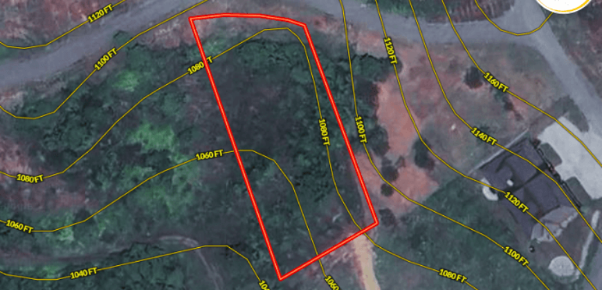 0.54 Acres – Longshore Dr, New Tazewell, TN, 33076 – Claiborne County